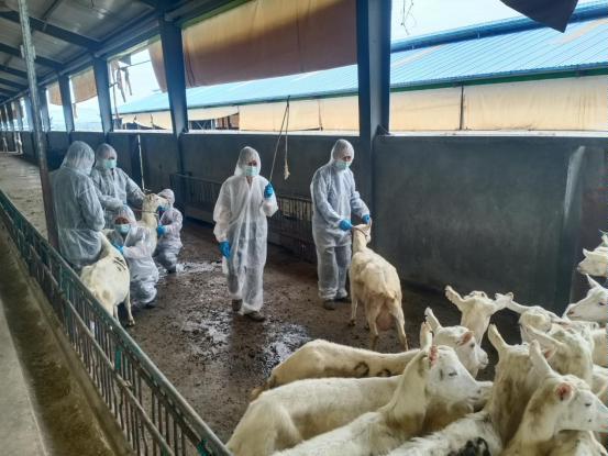 千陽縣畜產(chǎn)局再獲省級(jí)榮譽(yù)，產(chǎn)業(yè)興旺助力鄉(xiāng)村振興